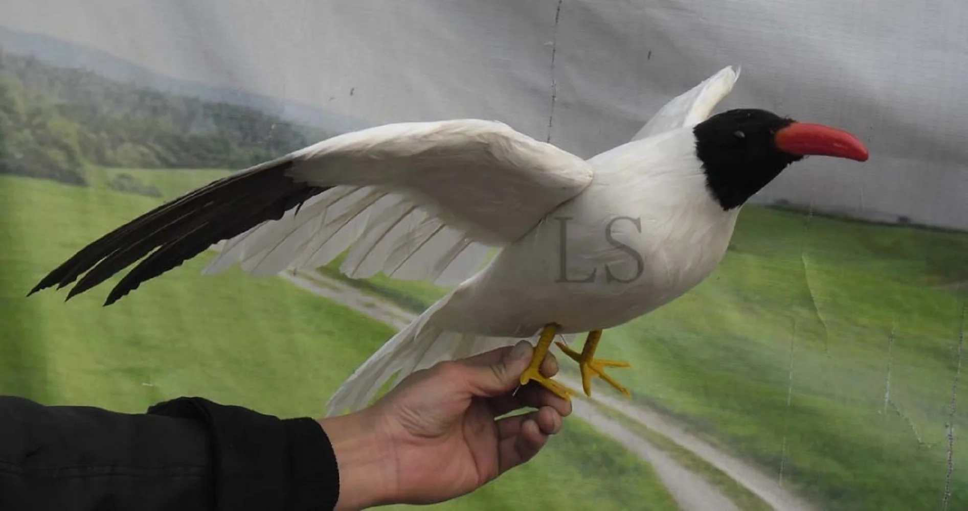 simulation wings Seagull toy foam&feather red mouth wings seagull bird model about 55x30cm 1344