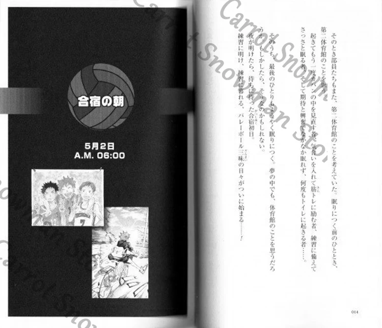キBavaglio!! GagBavagliバン!! Haikyuu!! collezione romanzi Sportiva Sports Magazine Wind Cover Volume 1-13 Versione originale giapponese