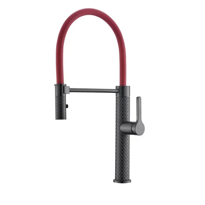 Modern multifunctional kitchen stainless steel faucet