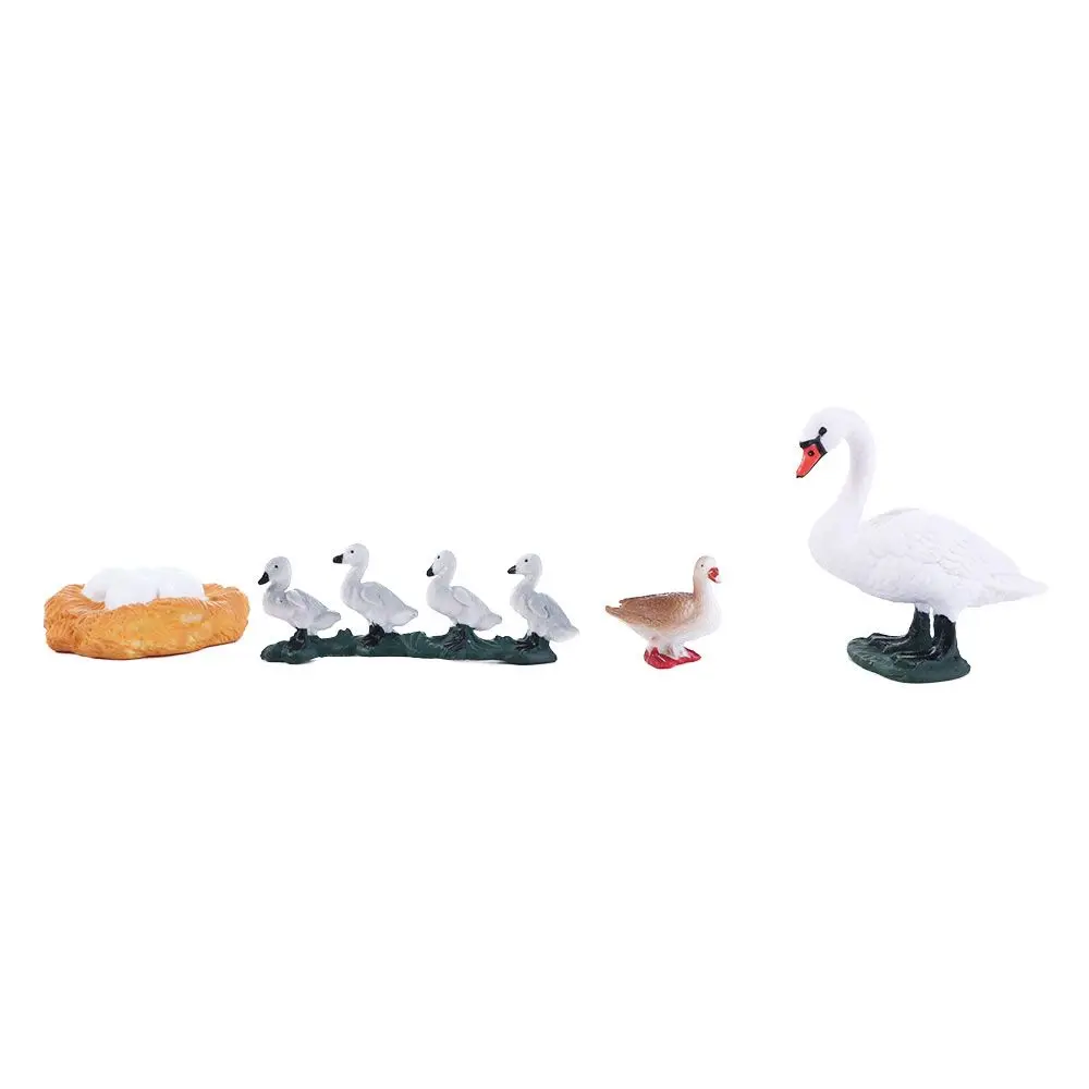 Swan Model Educational Toys Poultry Growth Cycle White Goose Growth Cycle Simulation Cycle Duck Figurine Life Cycle Figures