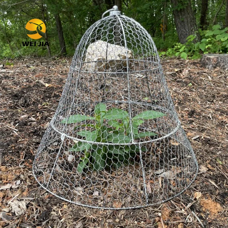 Garden Chicken Wire Cloche, 16x 13 Inches Black Dome Plant Protector Cover Metal Garden Cloches Protecting from Animals