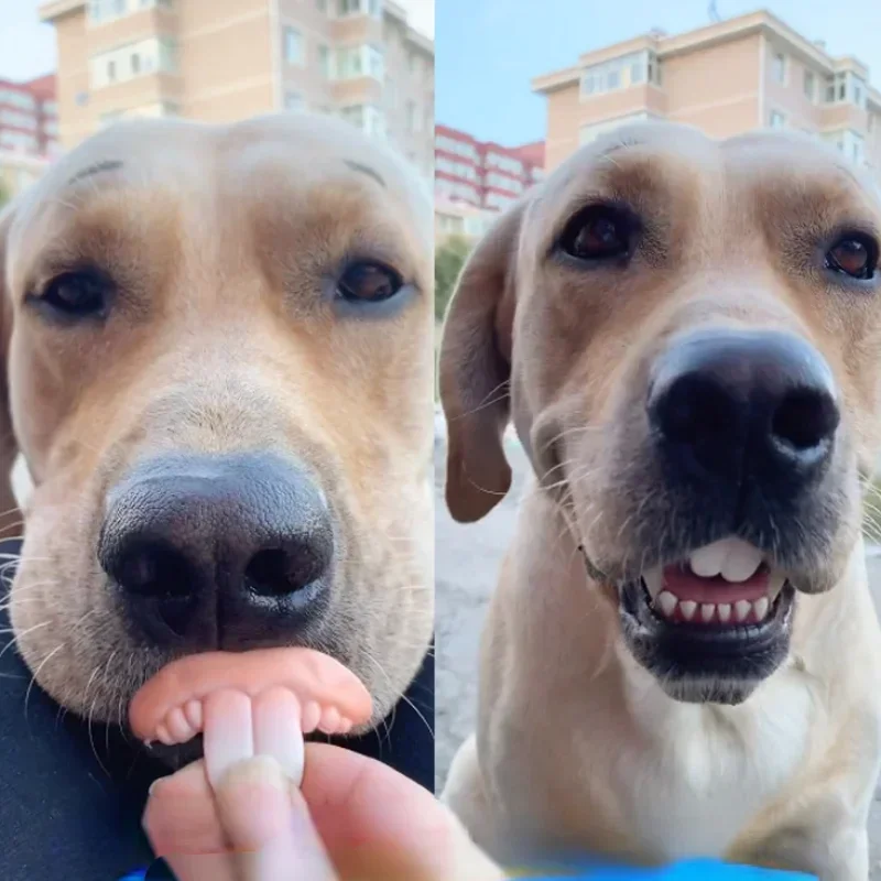 False Teeth for Dog Funny Dentures Pet Decorating Supplies Halloween Cosplay Humans and Vampires Toys Tricky Funny Dentures