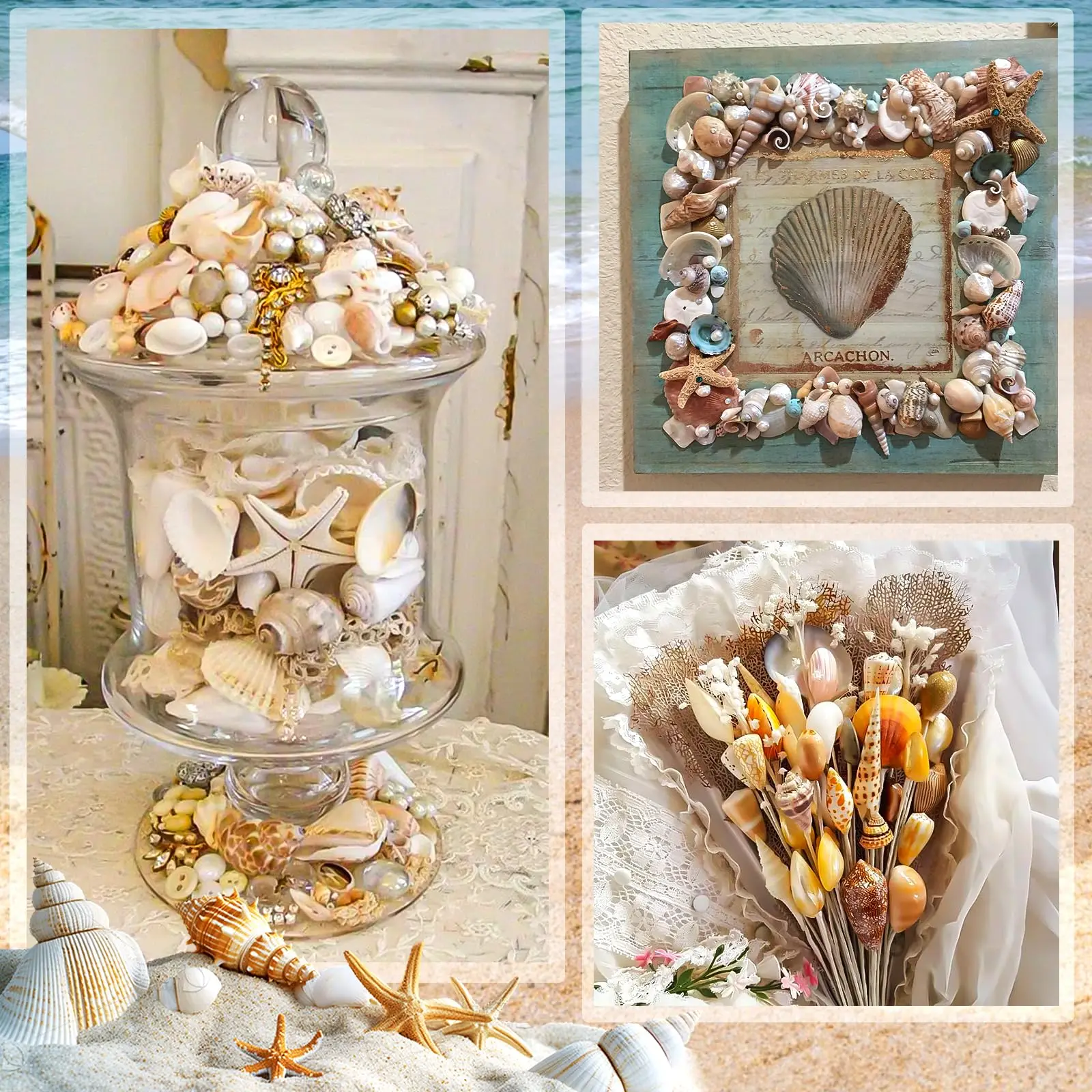 Sea Shell Mixed Ocean Shells Set, 60PCS  Various Sizes Natural Seashell & Starfish for Beach Themed Decor, Fish Tank, Wedding