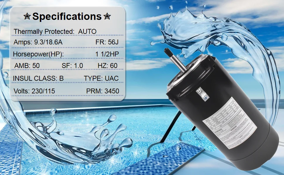 Swimming Pool Pump Motor