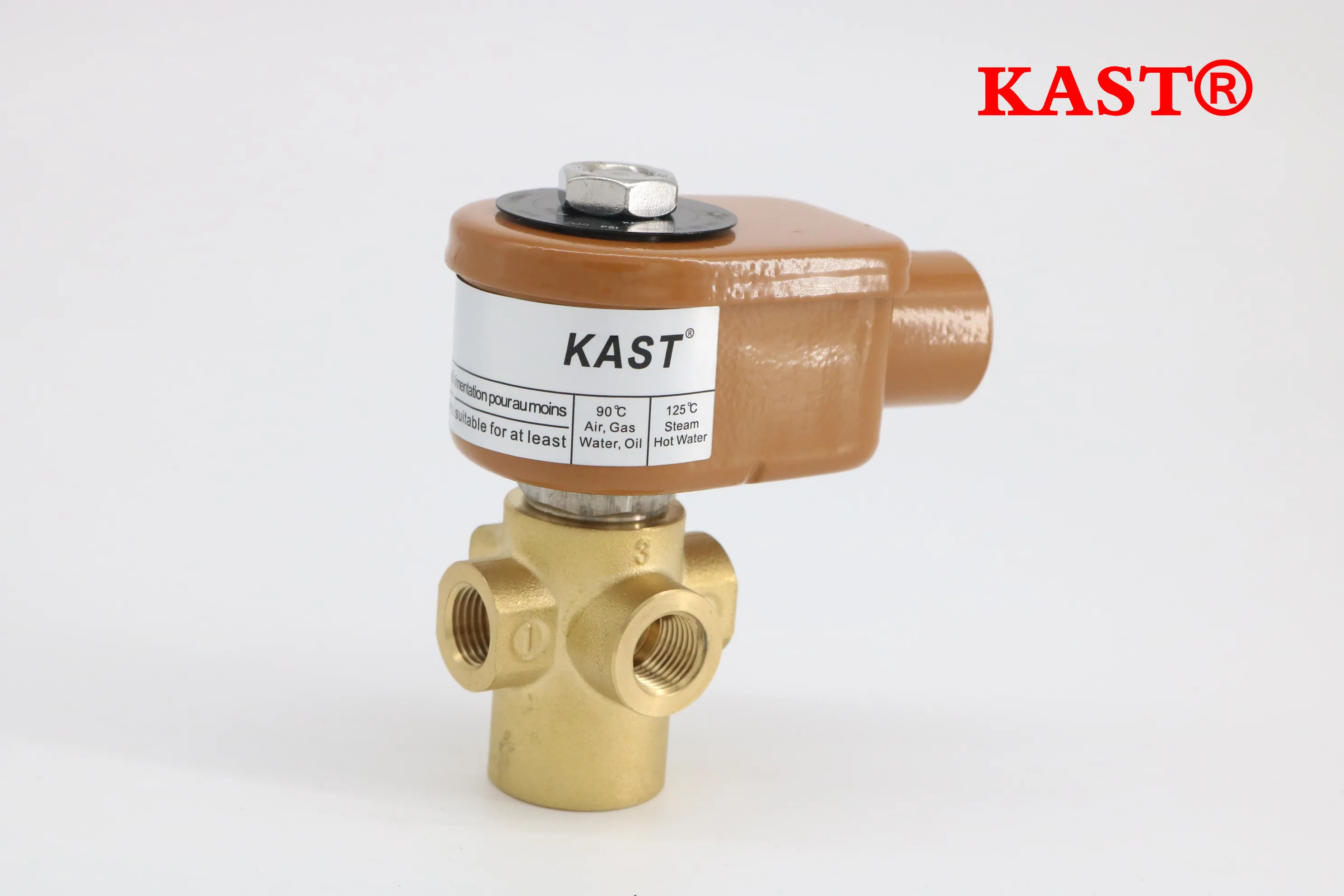 Air Compressor Parts 1089059026 Unloader Valve Blow off Valve Inch 110v with Solenoid Valve