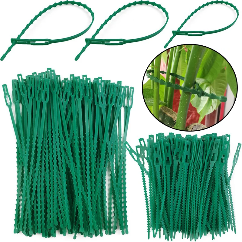 50/100Pcs Green Plants Cable Ties Reusable Adjustable Plant Vine Tree Shrubs Support Self Locking Wrap Rings Fastener Organizer