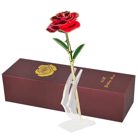24K Gold Dipped Rose for Her AINYROSE