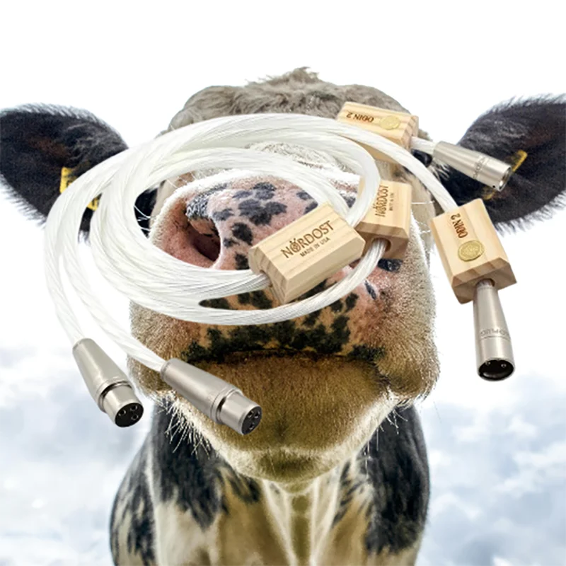 

Соответствующая пара XLR Odin2 — посеребренное сбалансированное соединение, студийный класс для усилителя/CD ​