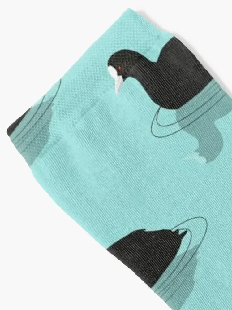 Common coot vector Socks christmas stocking Heating sock Women Socks Men's