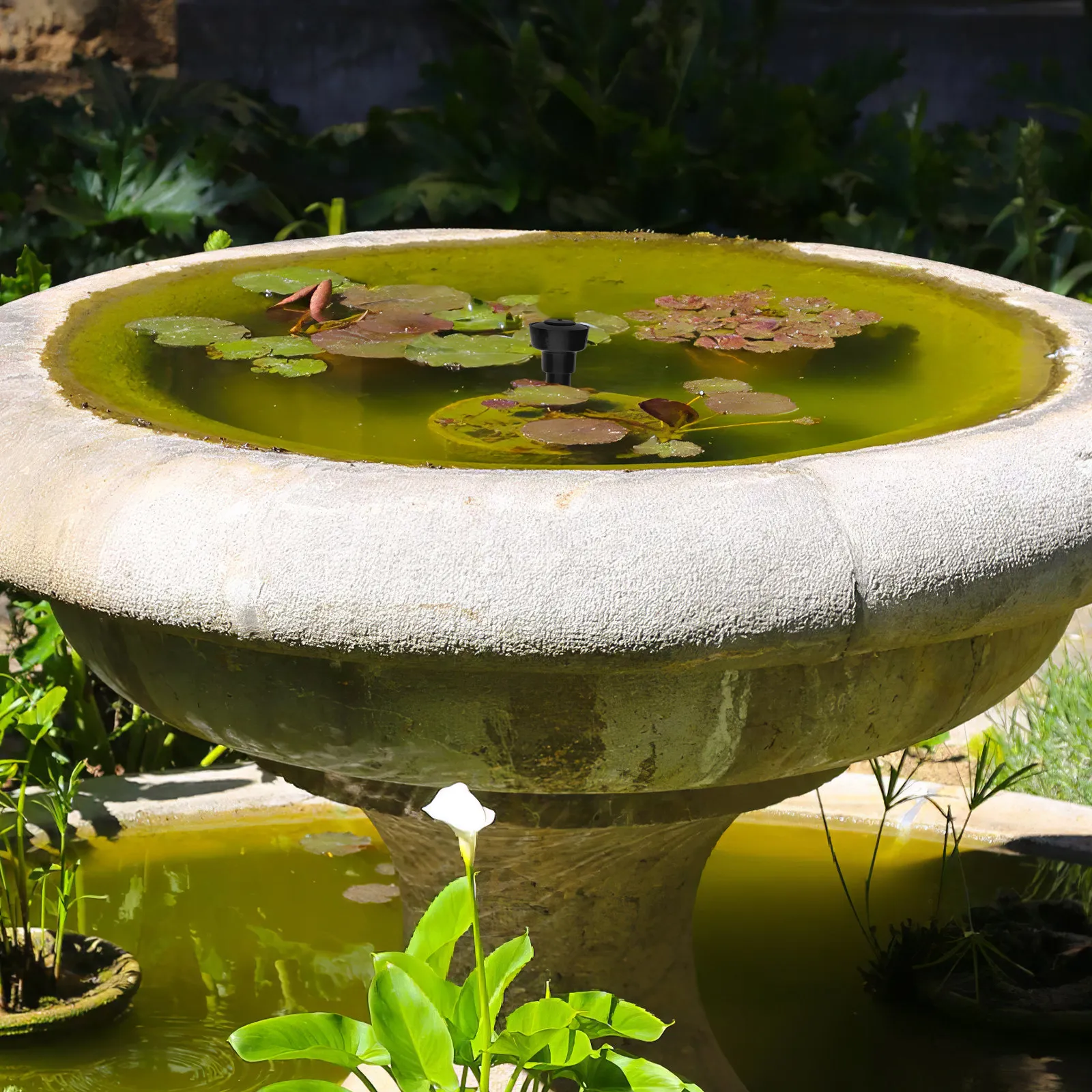1 Conjunto de Bicos de Fonte d - Aquarium Fish Tank avaliação e preço