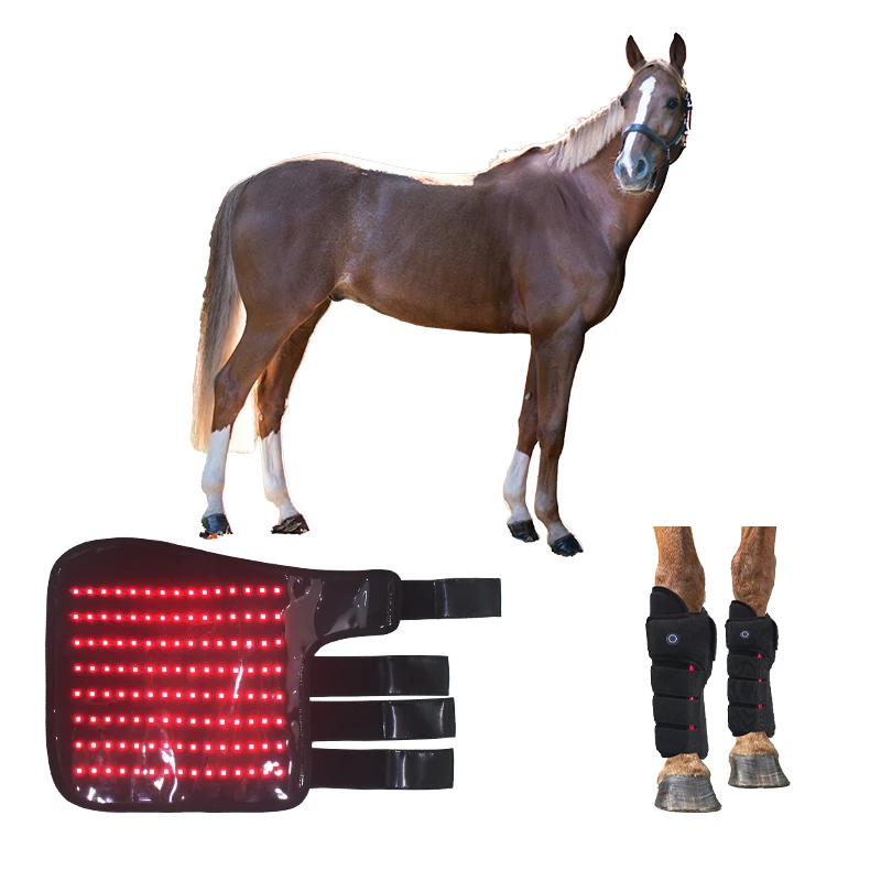 110 LEDs Type-C Equine Red Light Therapy Boot Horse Hoof Leg Injury Recovery Pad