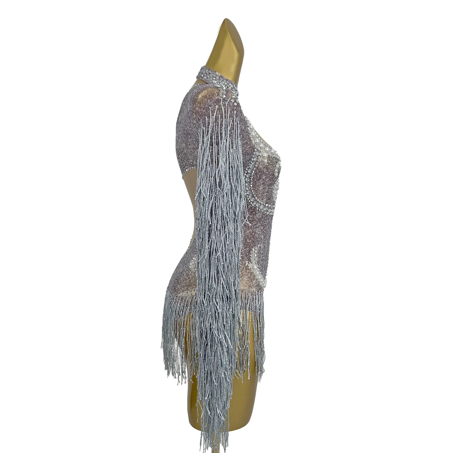 

Sparkly Rhinestone Tassel Bodysuit Showgirl Stage Performance Dress Sexy Club Dance Troupe Outfit Dance Floor Swinging Bodysuit