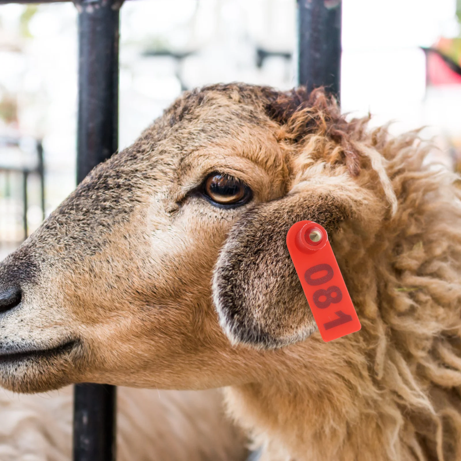 

100Pcs Ear Tags for Animals Numbered Livestock Identification Tags Sturdy Weather Resistant for Goat Sheep Cow Cattle Management