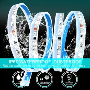 5 Hauptverkäufe Ford Light Light Fall - №5