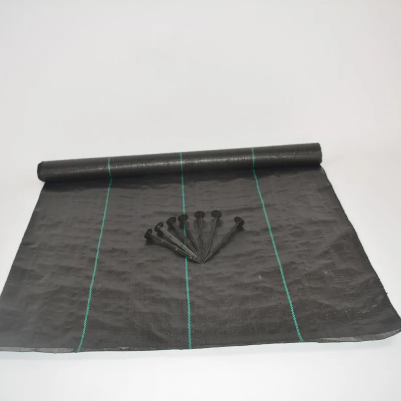 Agricoltura Anti UV pp Tessuto Geotextile Tappetino per il controllo delle erbacce Foglio di plastica in polietilene PE Doppio rivestimento Tela impermeabile