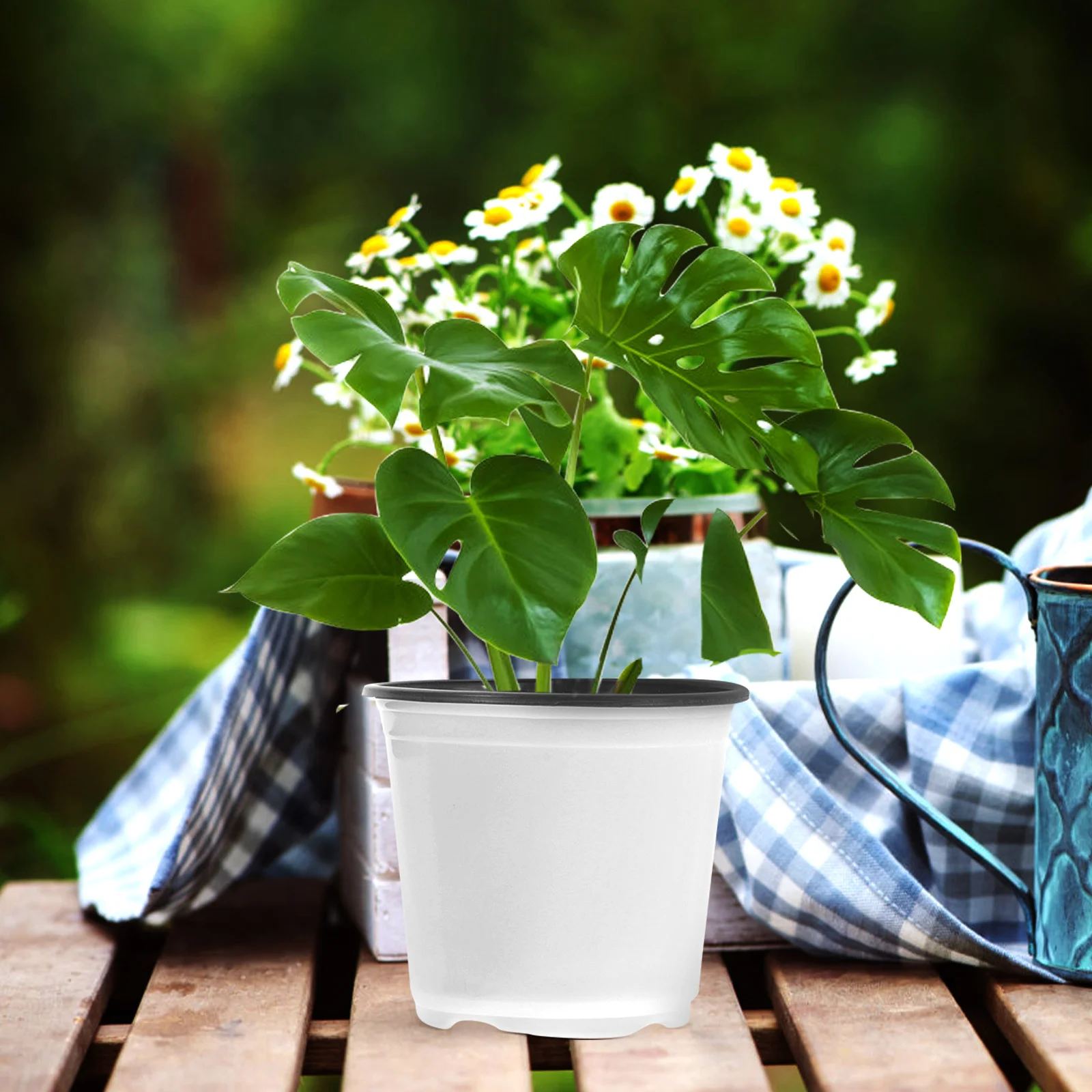 

30pcs Plastic Flower Pots Small For Indoor Outdoor Garden Nursery Succulent Container With Drainage Holes Lightweight