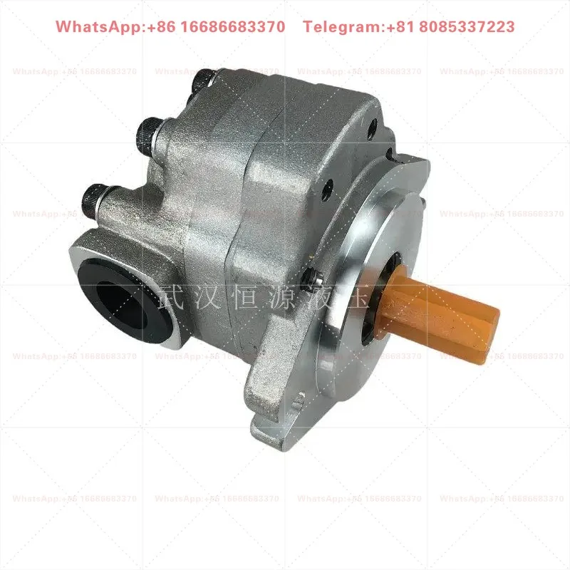 1pcs  Hydraulic high-pressure gear pump G5-5 12 6 8 10 13 16 20 25 30-1E13S-20R/R