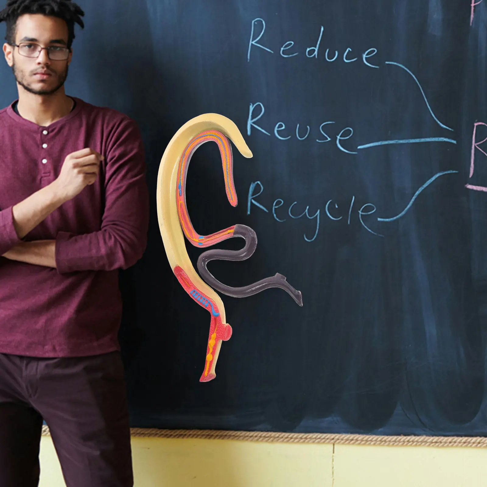 

Учебное пособие по глистозамучению (шистосомозу): съемный реалистичный образец крови, научные принадлежности для биологических классов, для когнитивного обучения