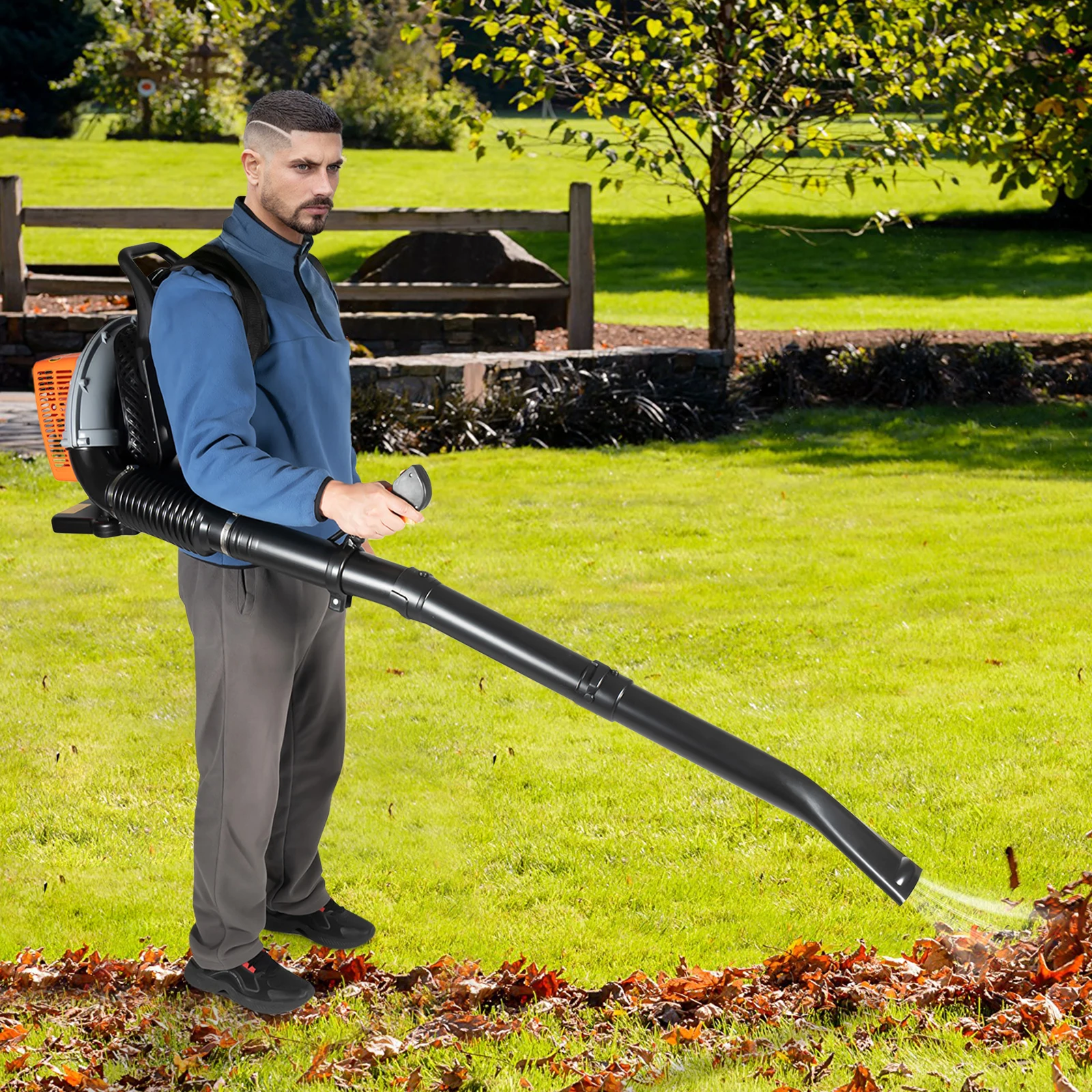 Gasoline Leaf Blower Backpack  - огляд і ціна Snow Blower Single