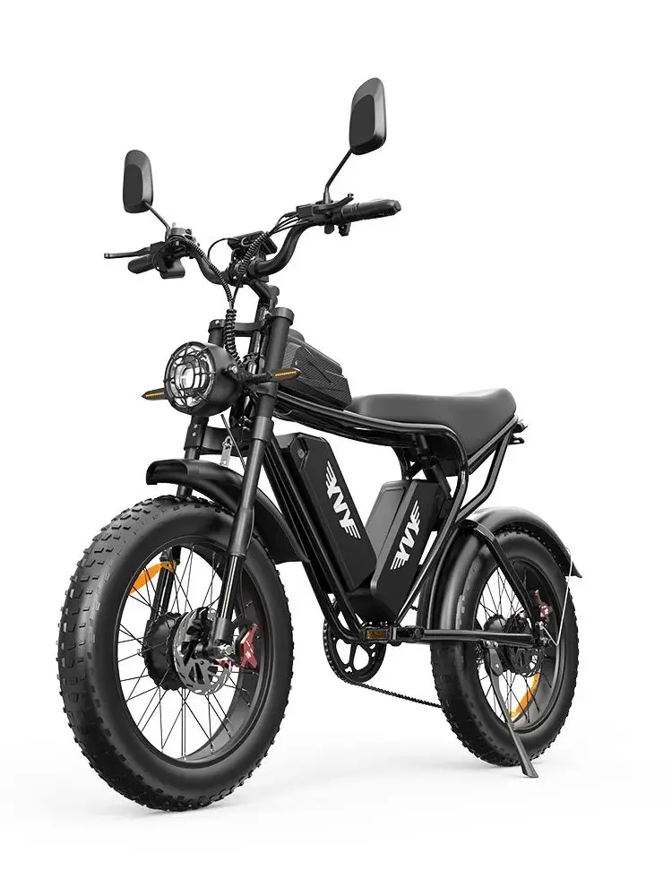 AliExpress NONE YVY C20 2000W Adult E-Bike 48V 13AH/20AH Battery 20 Inch Fat Tire Off-Road Electric Bicycle