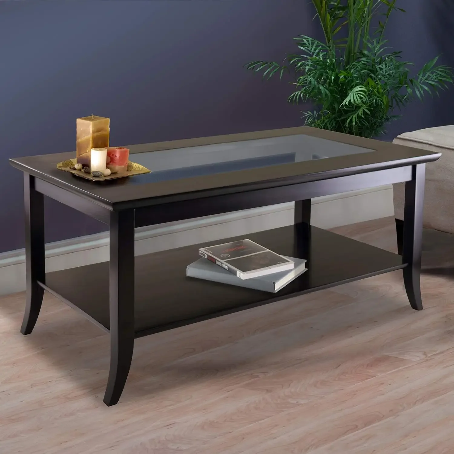 Winsome Rectangular Coffee Table with Glass Top And Shelf, Espresso