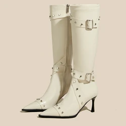 High-heeled Women Boots Pointed Toe Long Boots for Women Sexy Punk Gothic Boots Paris  European and American Female Party Boots