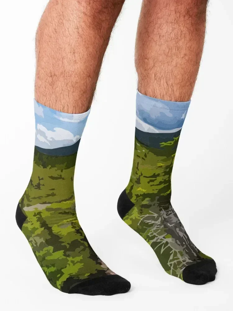 Appalachian Trail Painting Socks Argentina loose christmas stocking winter thermal Man Socks Women's