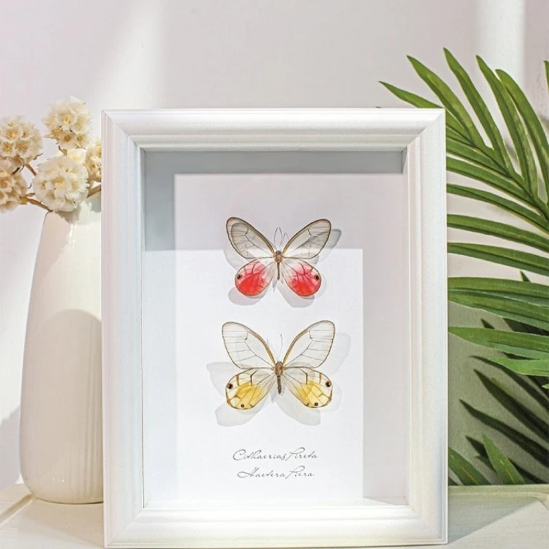Rose Xiao Huangjing Eye Butterfly Specimen Handmade Decorative Painting Photo Frame Three-dimensional Ornament