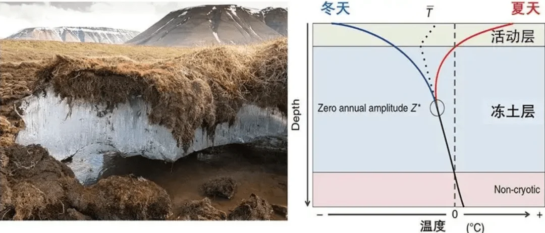 Used For FeiShen FS 1/8 TANK, SHARKS, Cheetah, ATOM, Leopard, Thunder, RC Car Parts Metal Upgrade Front Upper Swing Arm