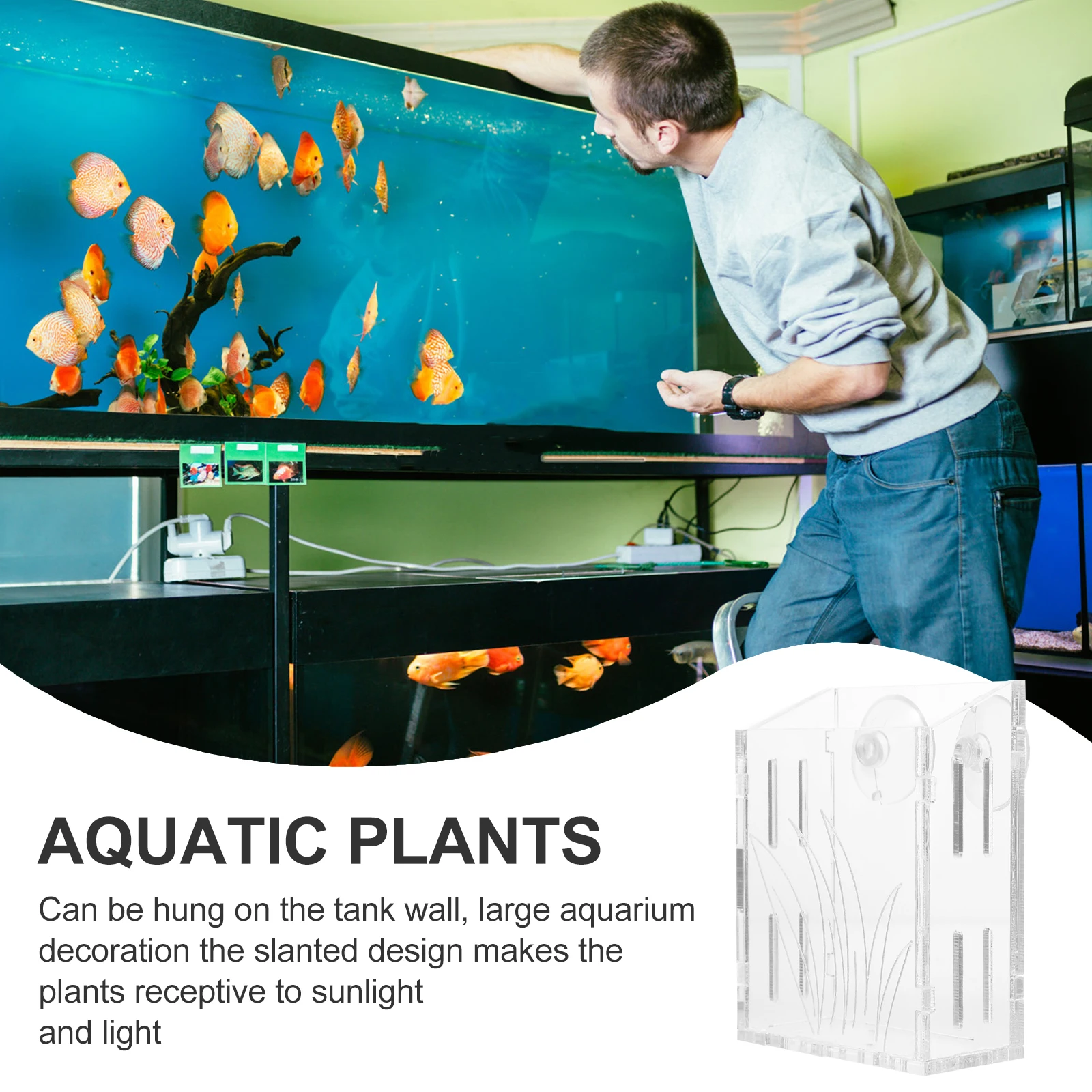 

Aquarium Planter Cup Water Plants Holder Fish Tank Planters Clear Acrylic Sinking Bowls Reusable Durable Container