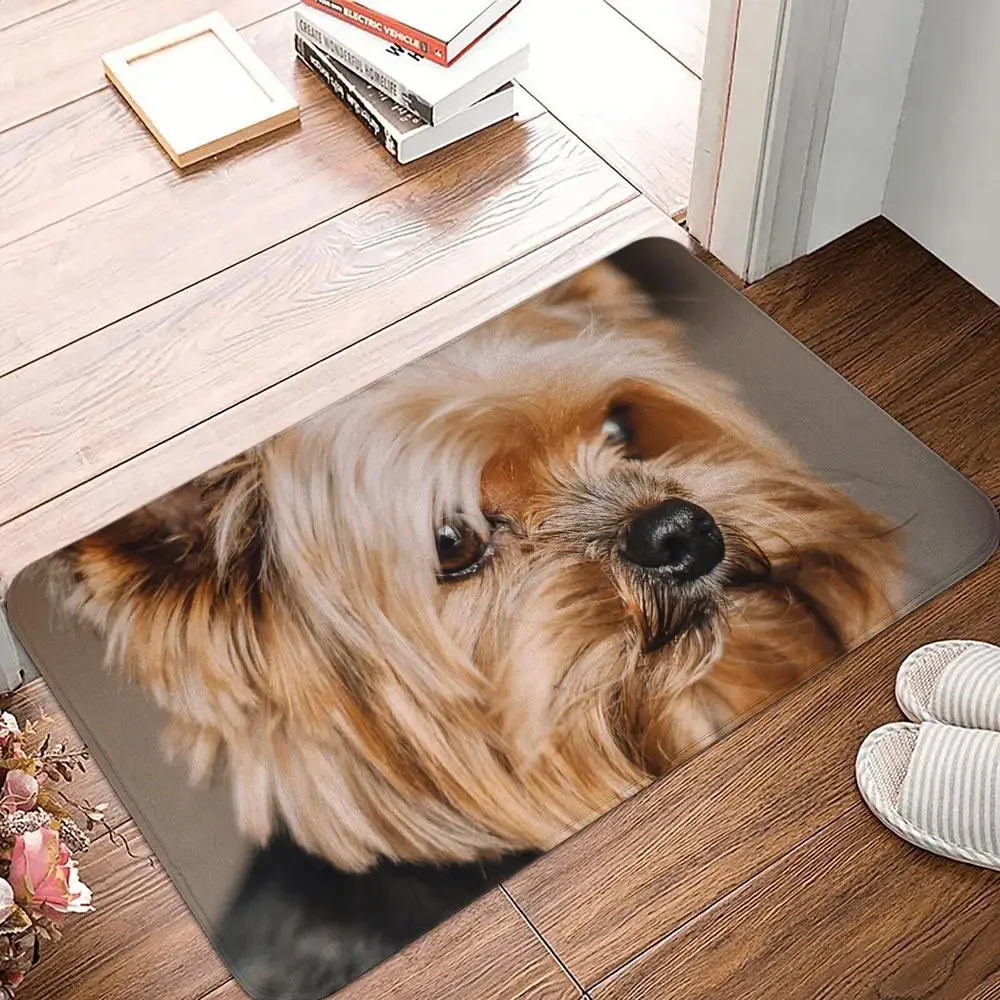 Bedroom Balcony Non-Slip Rug Entrance Door Mat Floor Dog Funny Pug Schnauzer Kitchen Living Room
