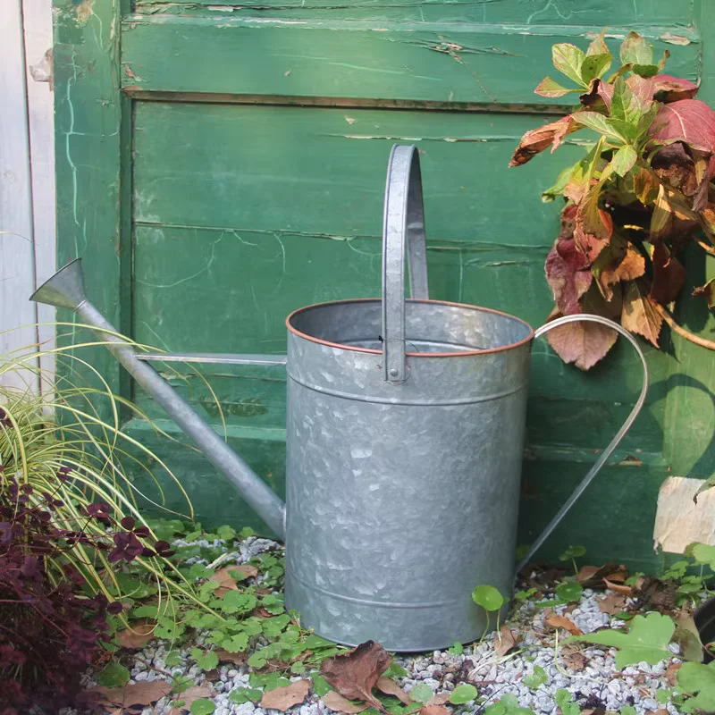 Galvanized Iron Watering Can with Lotus Flower Spray Nozzle