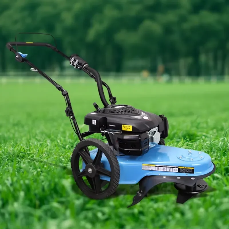 Walk Behind Push Mower