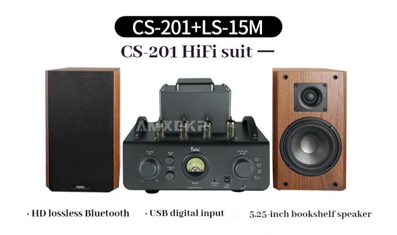 YAQIN CS-201 مُضخّم صوت 40 واط * 2 مكبر كهربائي أنبوب مضخم الصوت حمى HiFi المنزل فراغ أنبوب الصوت