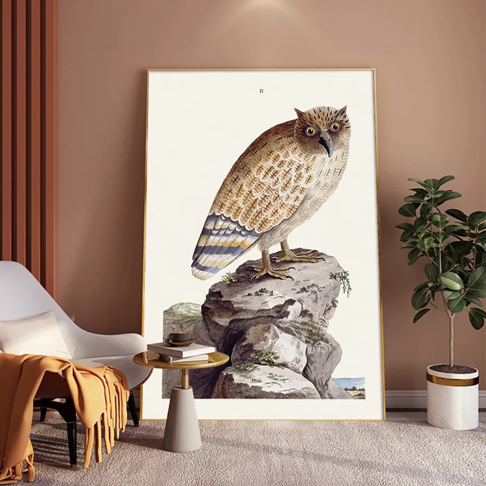 Peter Brown Art Print Poster The Great Ceylonese Eared Owl Canvas Painting Animal Wall Picture Decor