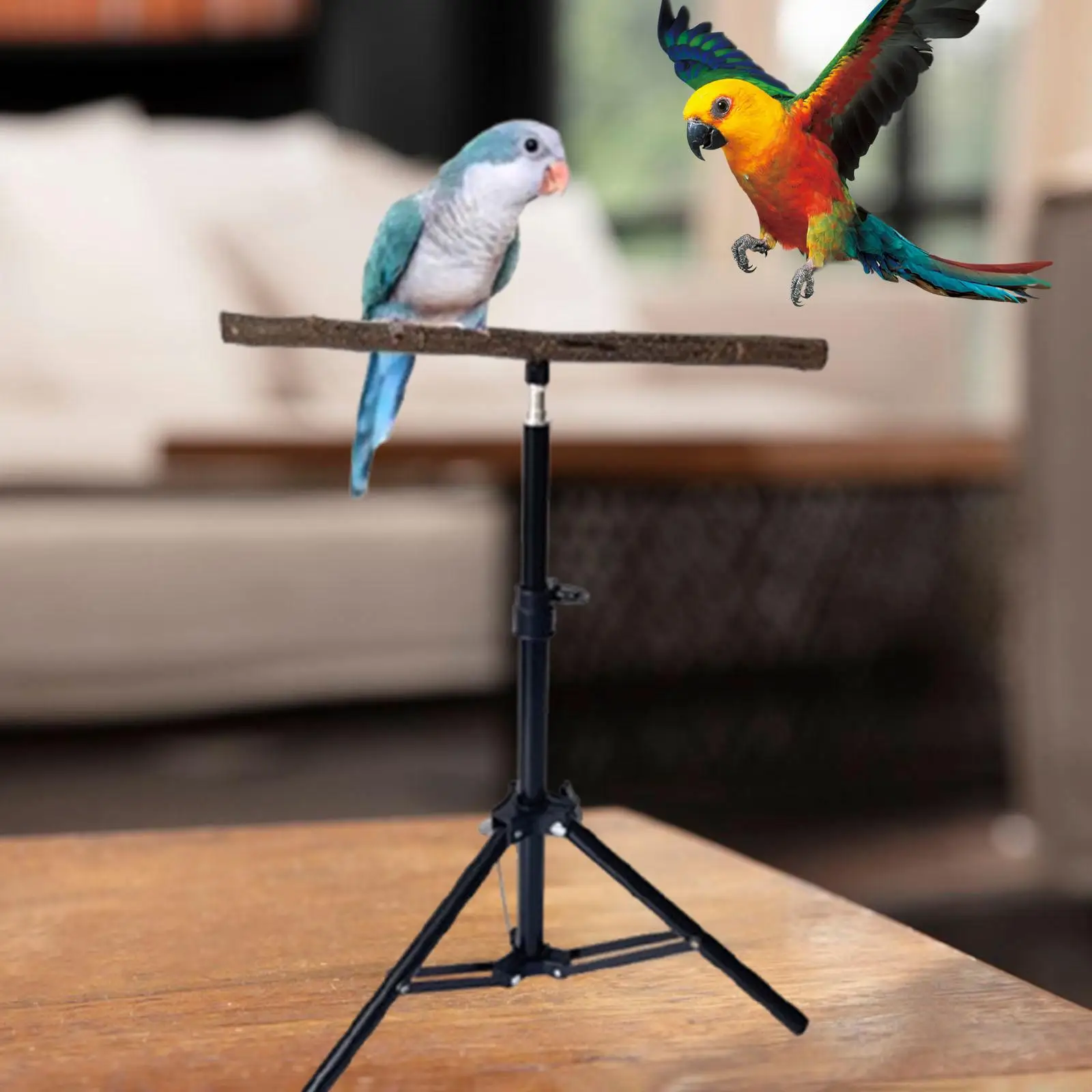

Wood Parrot Perch Parrot Tripod Stand Height Adjustable Tripod Pet Bird Supplies for Parakeets Conures Cockatiels Macaws Budgies