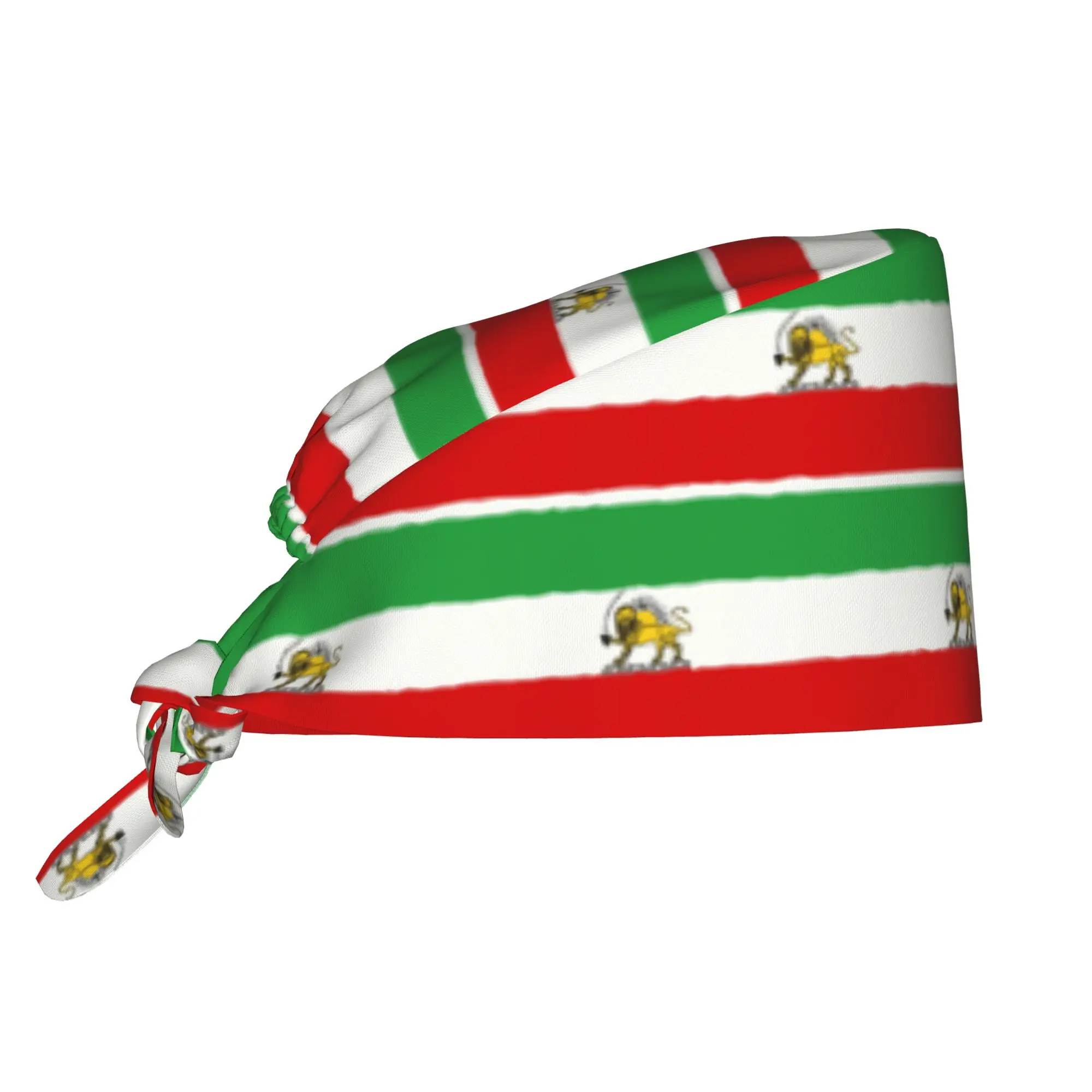 State Flag of the Imperial Iran Working Cap Surgical Hats Women Men  Operating Room Cap Nursing Cap Lab Works Hat