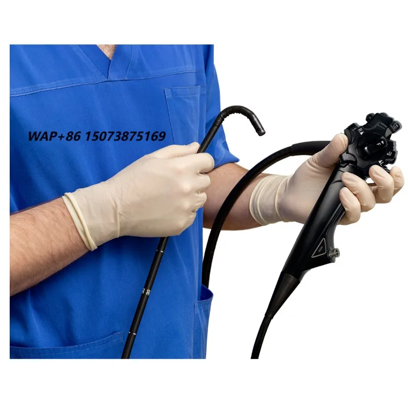 Veterinary high-resolution video gastrointestinal endoscopy system with mobile cart and high definition display for diagnosis of
