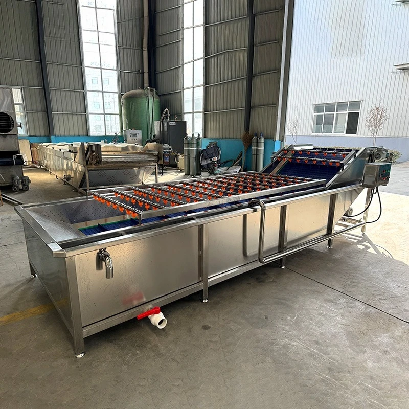 Electric Powered Fruit Vegetable Drum Washing Machine  Safety protection Vegetable Sorting Washing Cleaning Machine