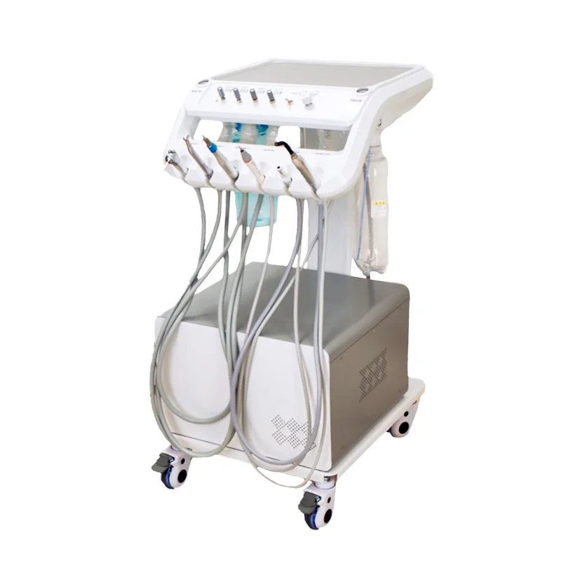 Bmv Veterinary Dent…