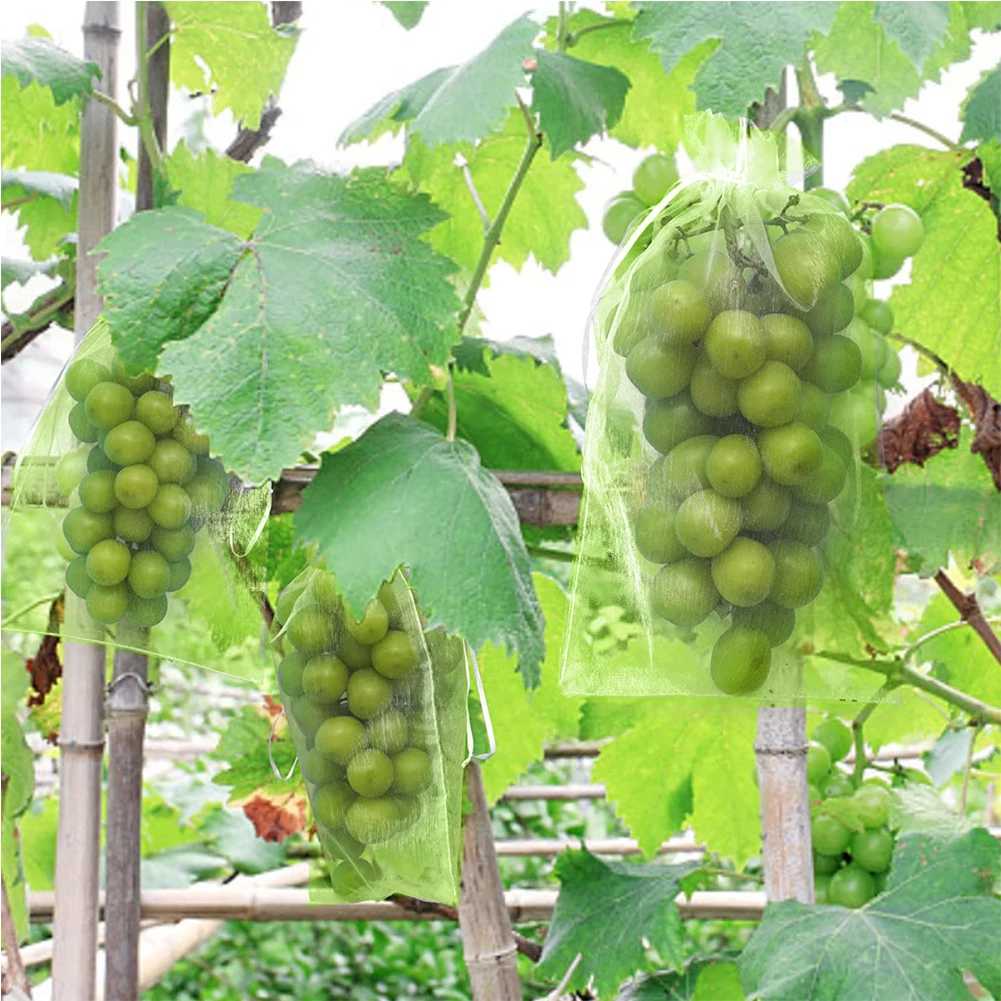 

100Pcs Fruit Protection Bags Drawstring Green Fruit Netting Cover Nylon Pest Barrier Bag for Strawberry Blueberry Grapes