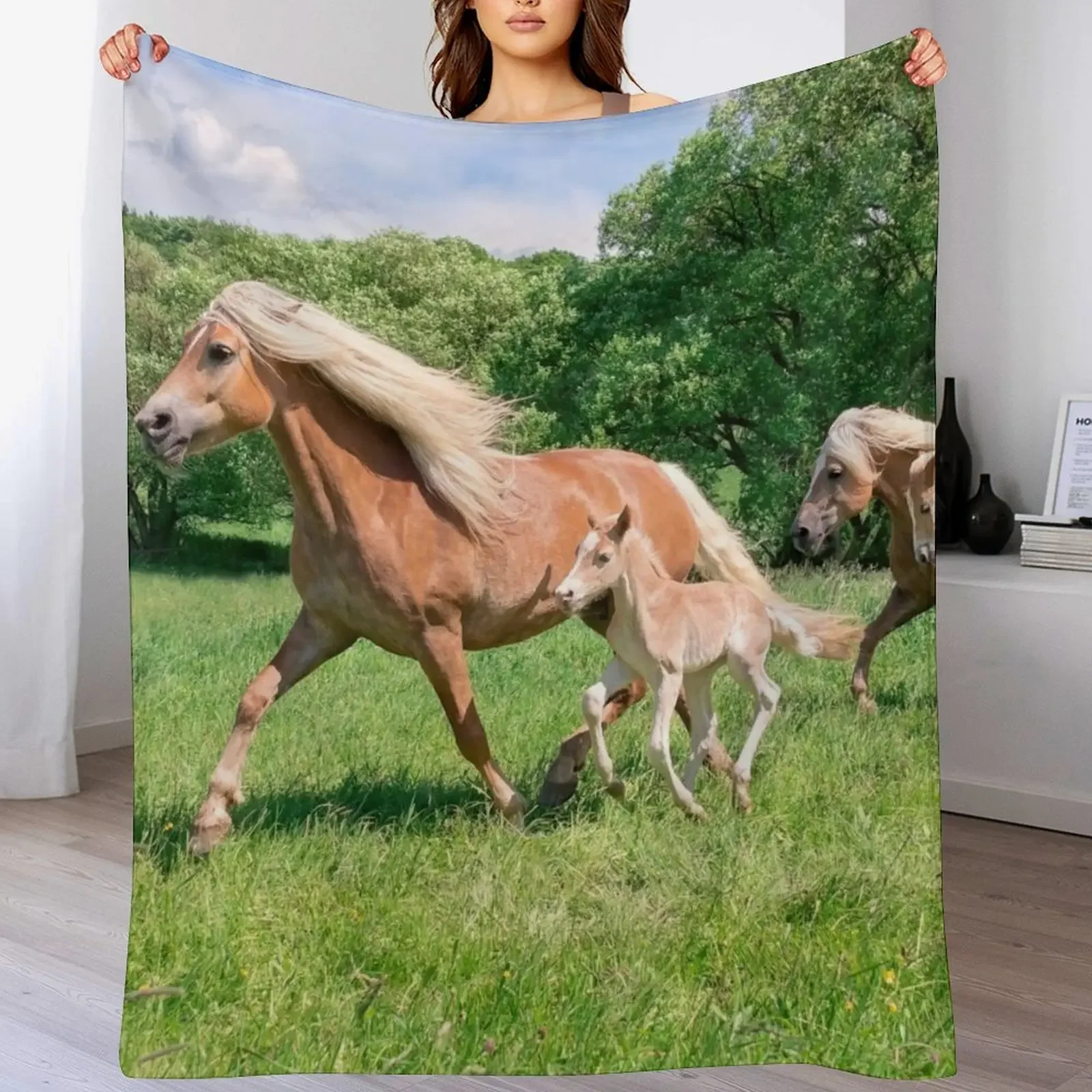 

Haflinger horses run together Throw Blanket Soft Plaid Plaid on the sofa sofa bed for babies Blankets