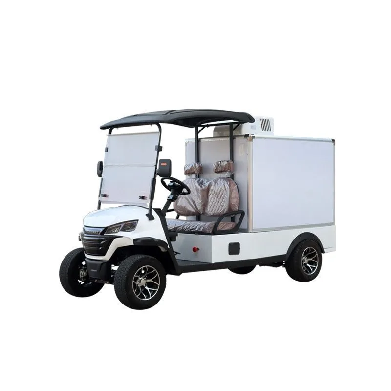 Golf cart closed box type multi-door electric truck small foreign trade export van electric food delivery truck