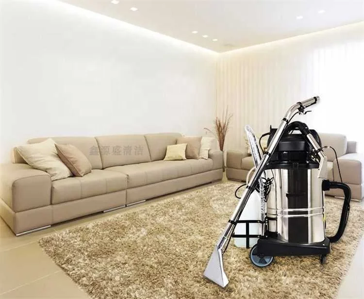 110V Professional washing sofa dry and wet portable steam commercial automatic prices carpet cleaning machine