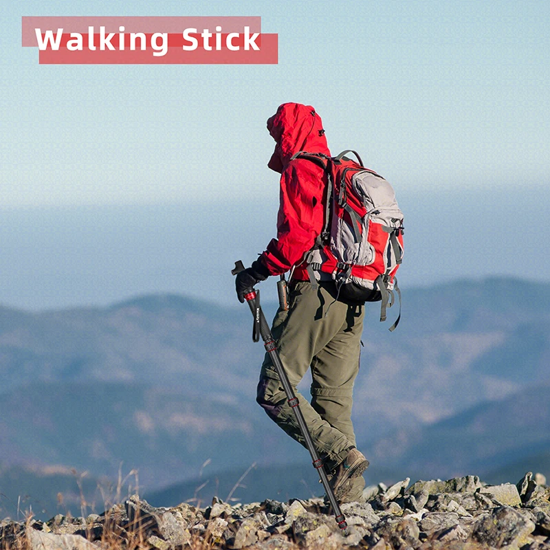 

Ссылка на дополнительную плату за доставку для VIP