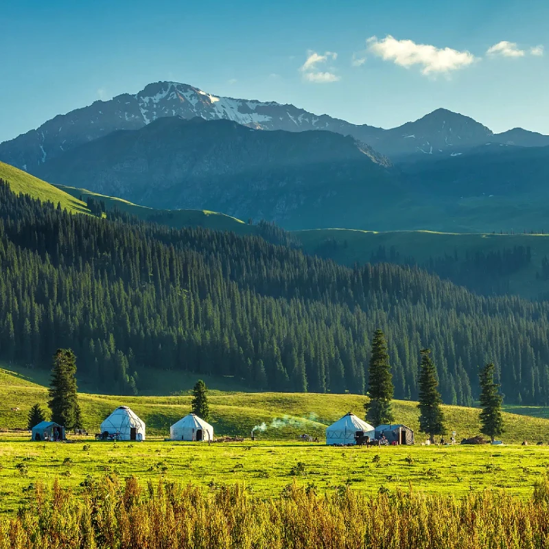 

Axisflying C287 2807.5 Brushless Motor 1350KV 1750KV 4-6S for FPV Drone Freestyle 7inch Long Range LR7 Model DIY Part