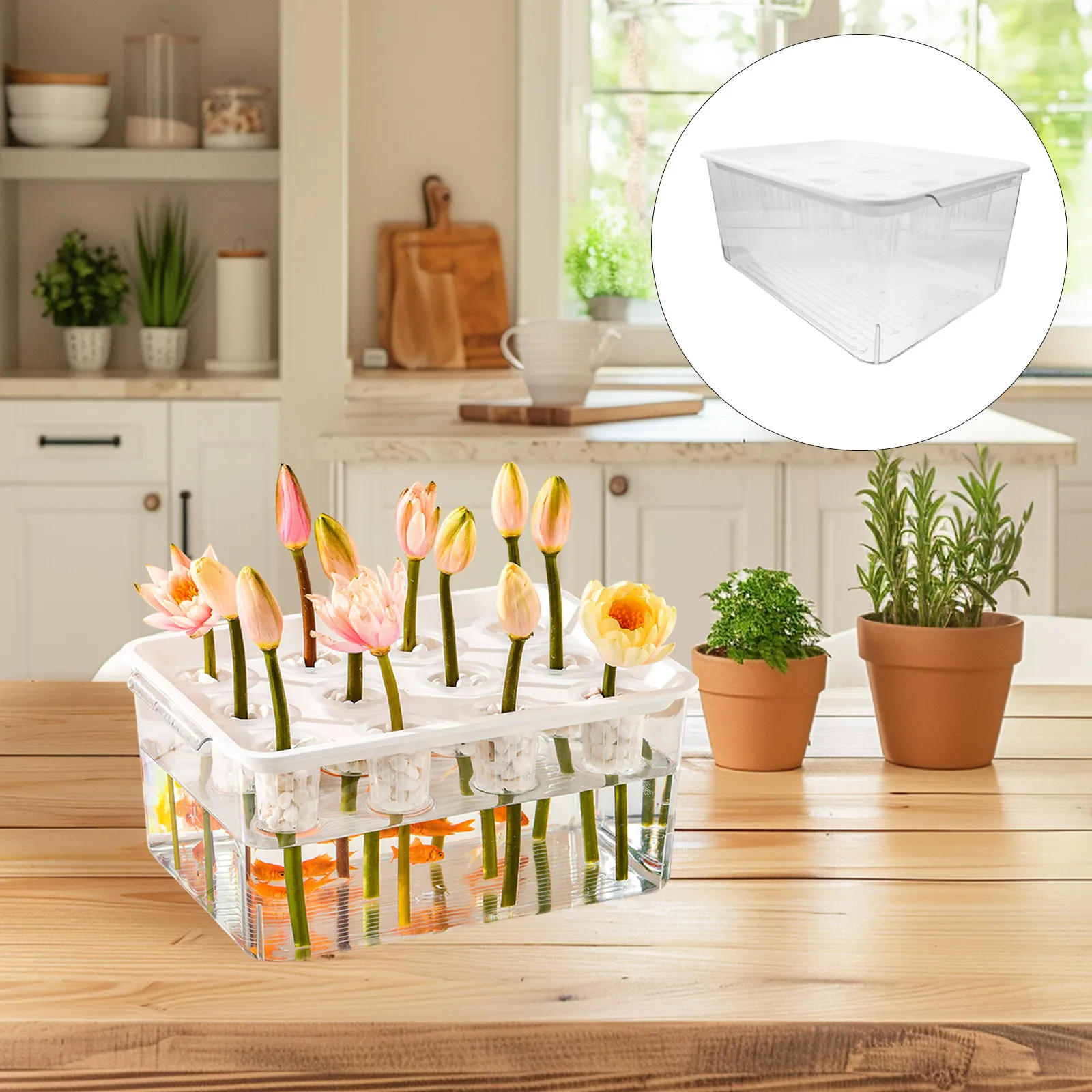 

Transparent Fish Tank For Soilless Cultivation Aquatic Plants Desktop Bookshelf Use Frameless Design High Transparency Mini