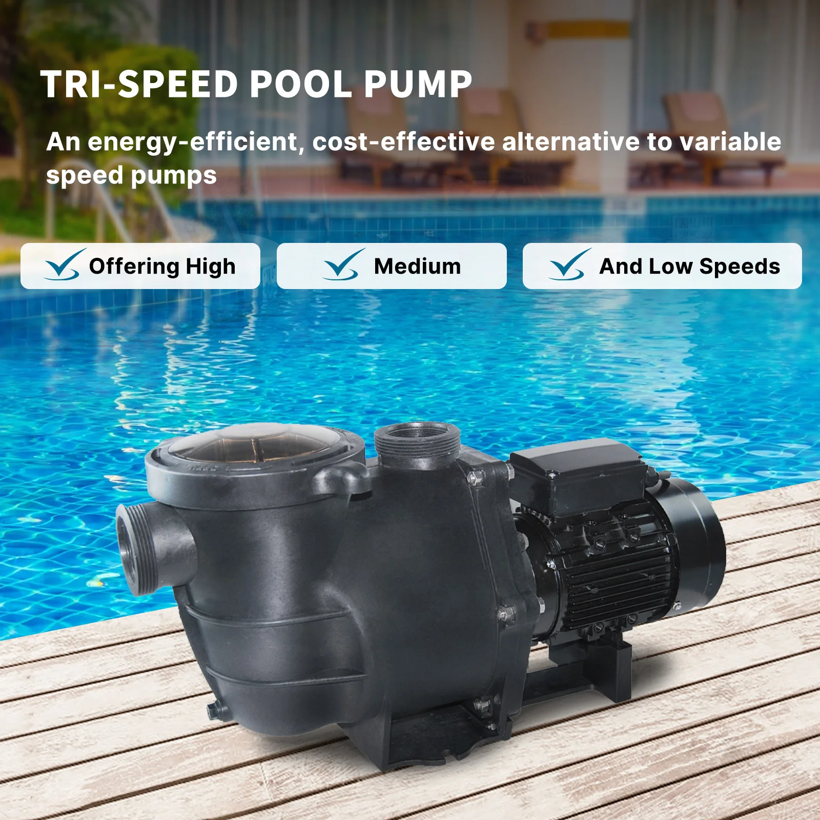 2.0HP Variable Speed 3-speed Programmable Swimming Pool Pump with Timer 115/230Vac 50/60Hz Patent Registered