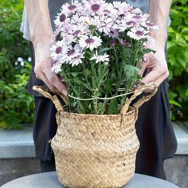 Soporte para Plantas, Estabilizador para Sostener Monstera y Flores