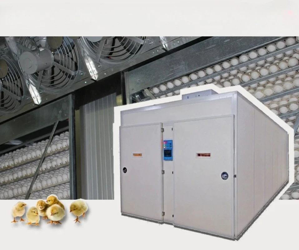 Yunfeng YFXC-15A/D قبعات الحضانة 15120 قطعة على شكل نفق أوتوماتيكية بالكامل لبيض فرخ مزرعة الدواجن مع موافقة CE